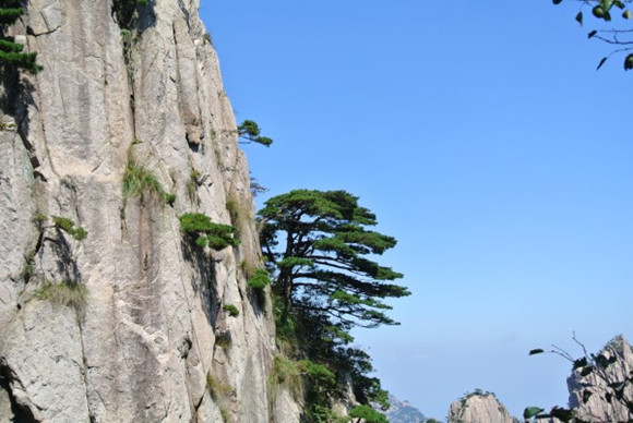 【摆渡】山松（外四首）