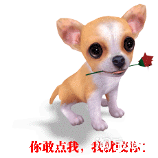 可爱的“巧克力”（记叙文）