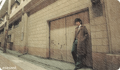 雨之韵（散文）