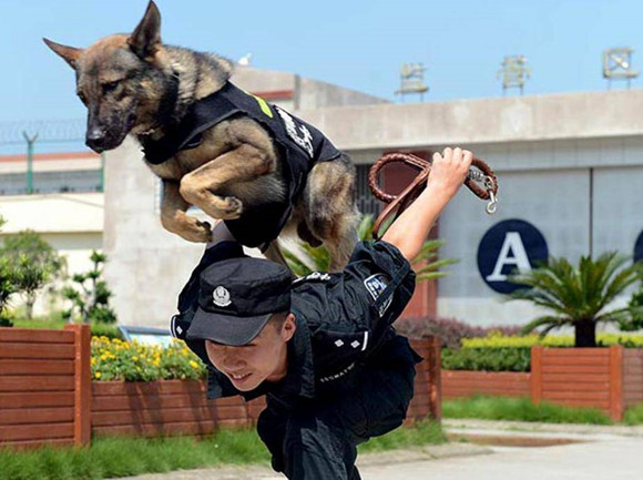 【摆渡】警犬（外一首）