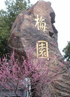 【流云】梅园（散文）