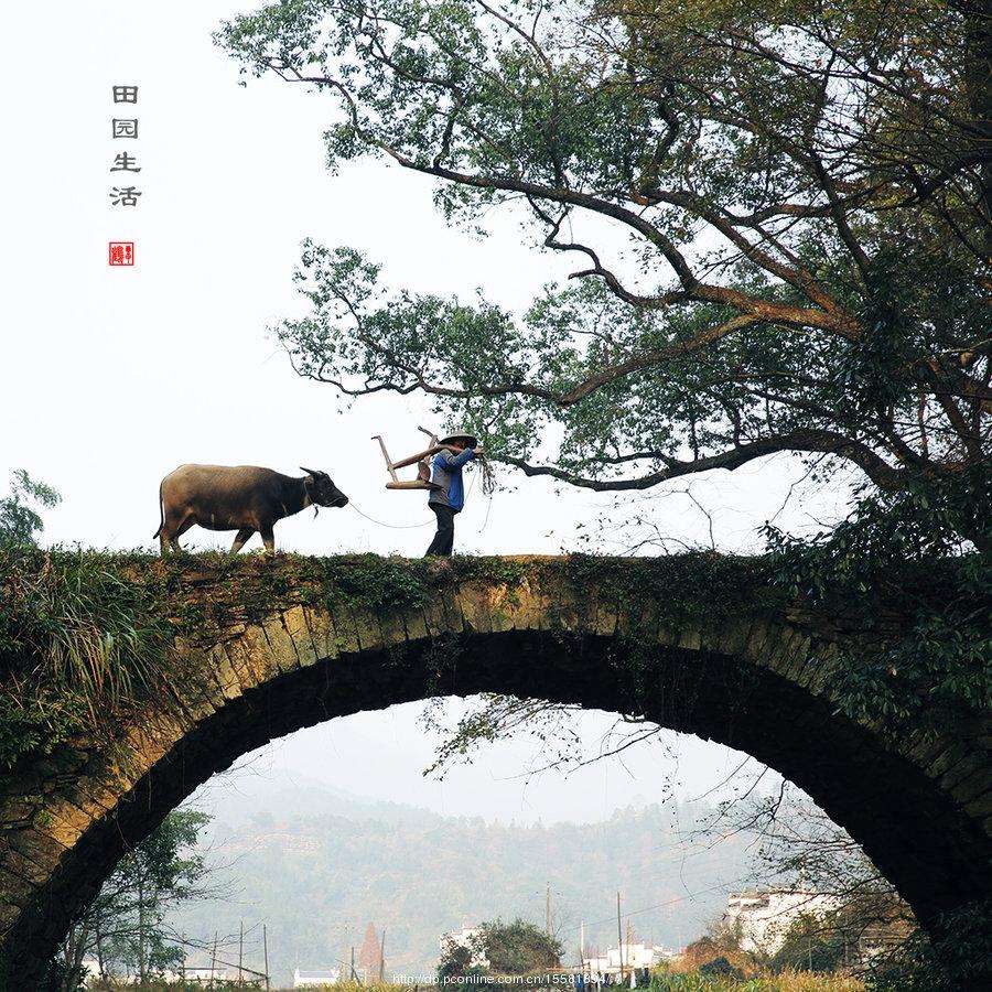 【八一】超级生活（组诗）