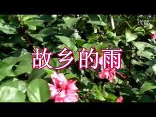 故乡的雨（散文）