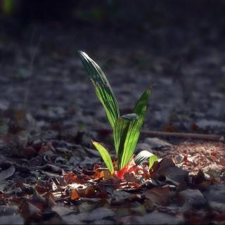 【时光】抵达（组诗）