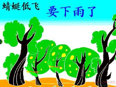下雨了（记叙文）