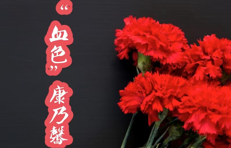 【浪花】“血色”康乃馨（小说）