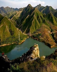 凤凰、麒麟与槐花