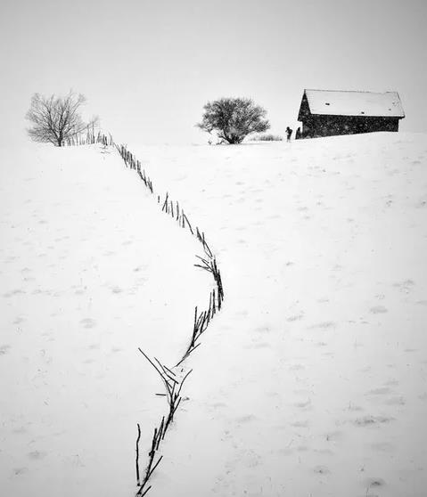 【流年】雪中呓语（诗歌）