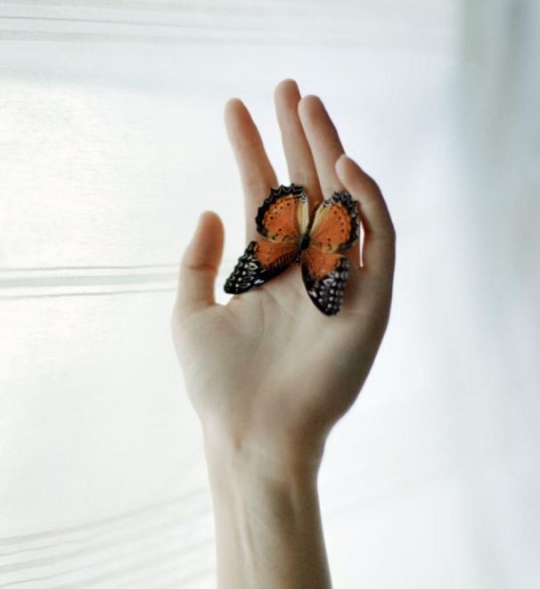 【绿野】===今夜，心如残月===（诗歌）