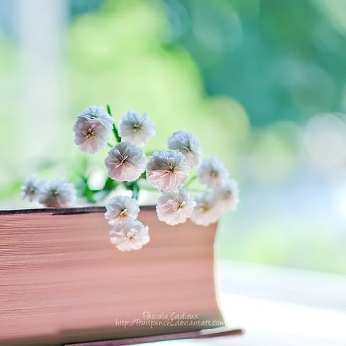 【流年】花梦（散文）