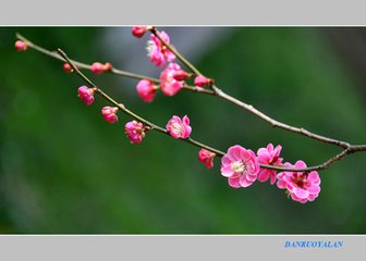 善变的我（记叙文）
