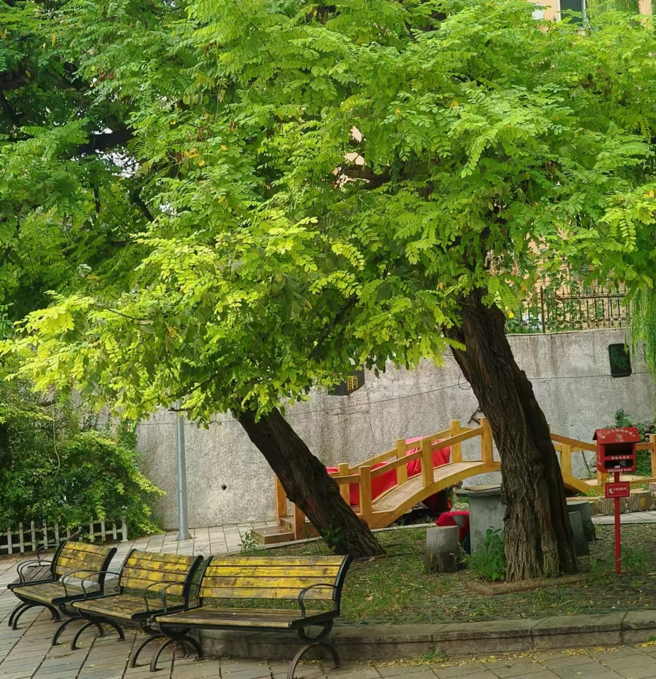 【宁静·忆】行走的半截生命（小说）