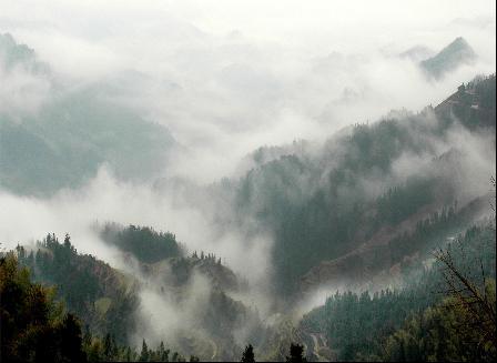 【江南】雪峰山，一场云林雾海的梦（散文）