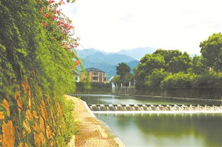 【八一】悠悠运河水，殷殷故乡情（散文·家园）