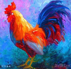 可爱的大公鸡（说明文）