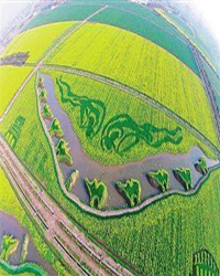 碧空丝路