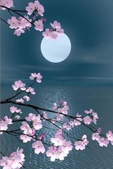 【暗香】心灵渴望自由（外二首）