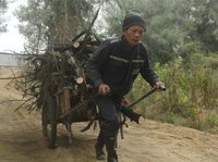 【丁香•祝福祖国】初冬拉柴的回忆（散文）