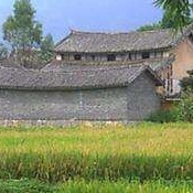 【专栏作家】小赵在圻村