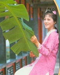 也说袭人