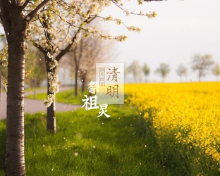 清明祭祖（随笔）