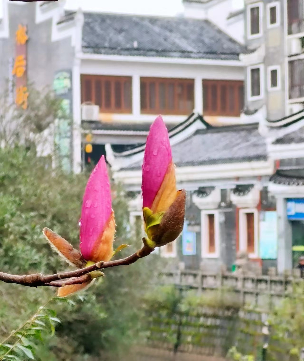 【宁静·遇】秦观的郴州（散文）