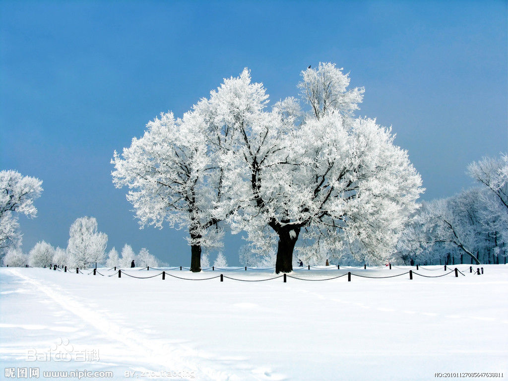 【流年·如梦令】雪，如约而至（征文·诗歌）