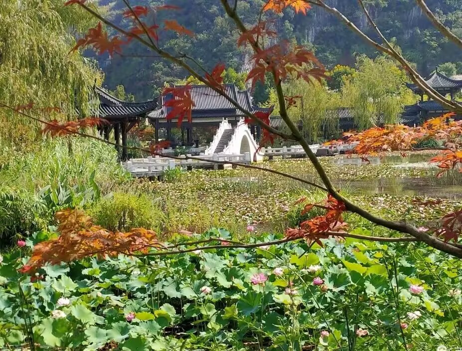 【好韵】夏（散文）