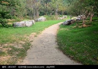 【流年·路】家乡的那条水泥路（征文·小说）