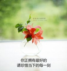 珍惜（诗歌）