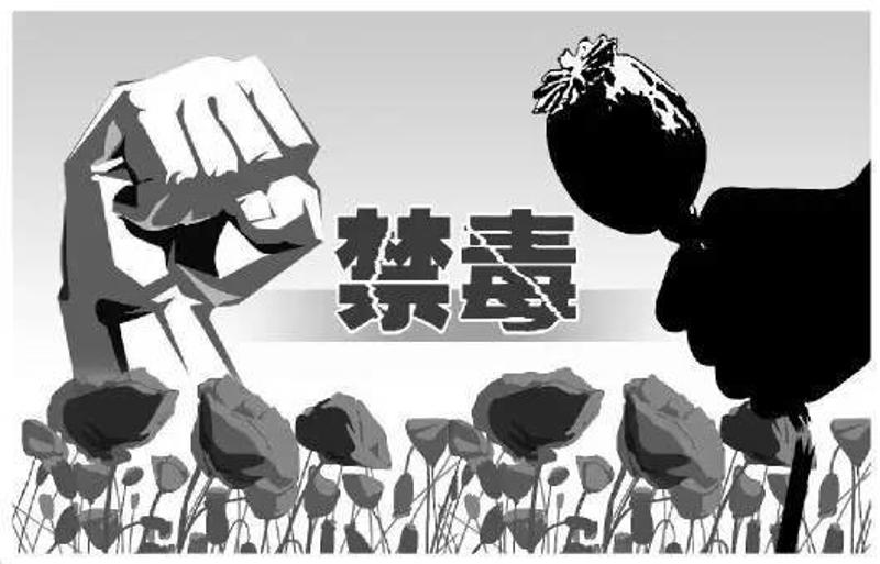 【菊韵】孤魂英雄（小说）