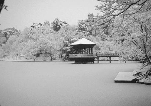 【江南】柳风拂化千山雪（散文）