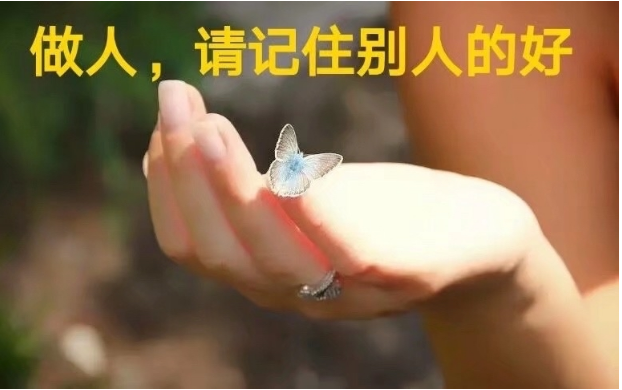 【绿野】只想牵你的手（诗歌）