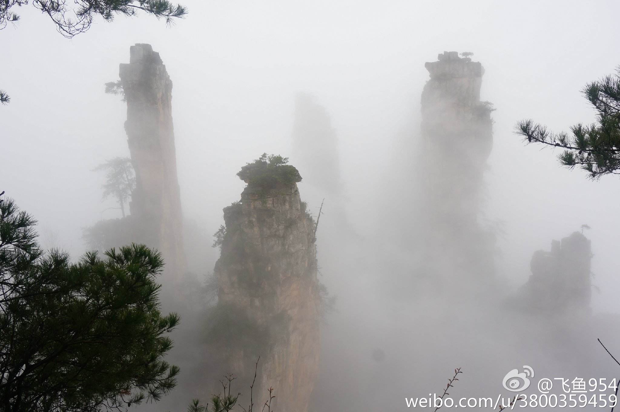 【荷塘“童话之秋”征文】烟雨张家界（散文）