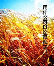 【东篱】秋草（外三首）