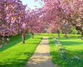 【荷塘“相约春天”征文】相约春天（诗歌）