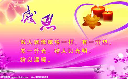 感恩（随笔）