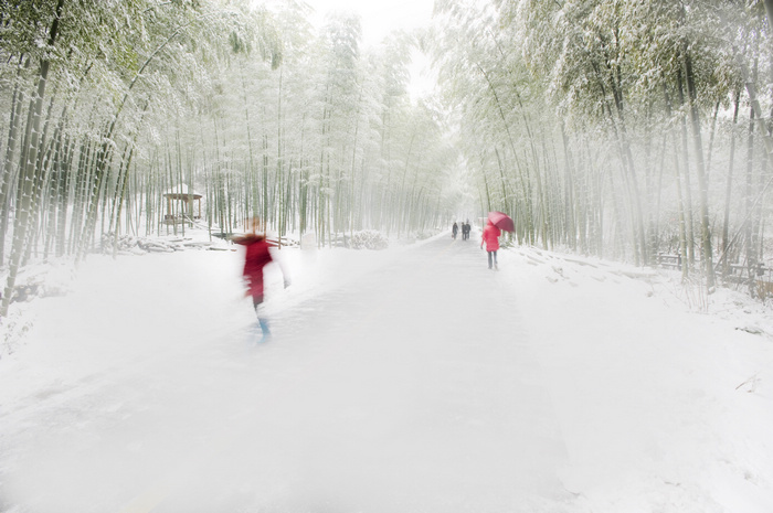 【时光】大雪无痕（散文）