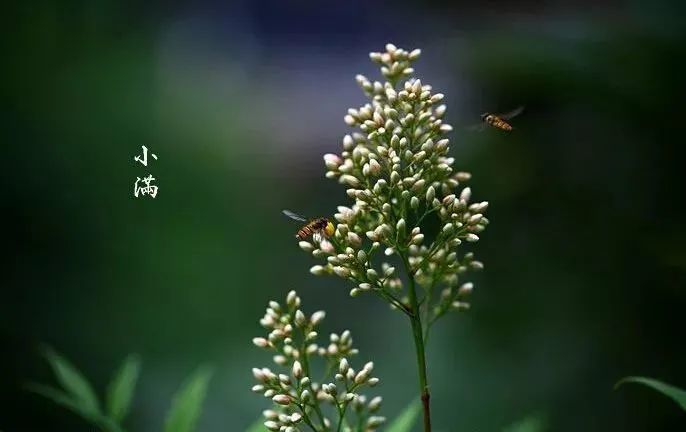 【文璞】父亲（散文）