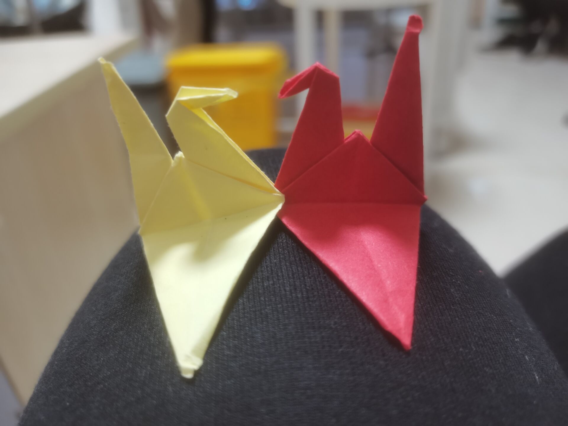 【八一·情】两只千纸鹤（散文）