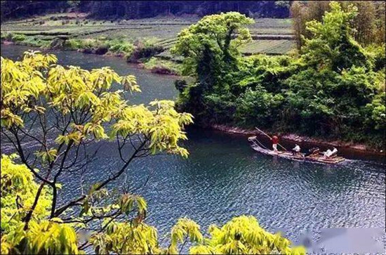 【摆渡】大樟溪游记（散文）