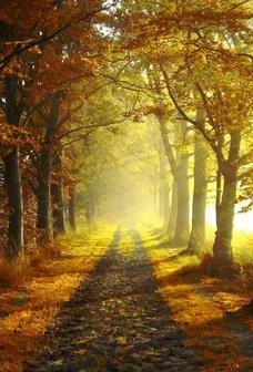 【流年·路】走在秋天的路上（征文·散文）