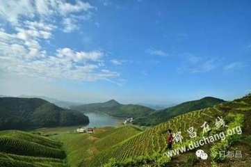 【西风】阳峰的色香味（散文）