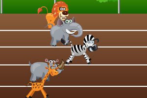 动物王国长跑比赛（看图写话）