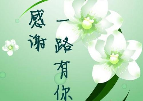 鸡年大吉（随笔）
