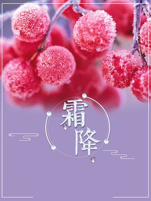 【菊韵】霜降赋（辞赋）