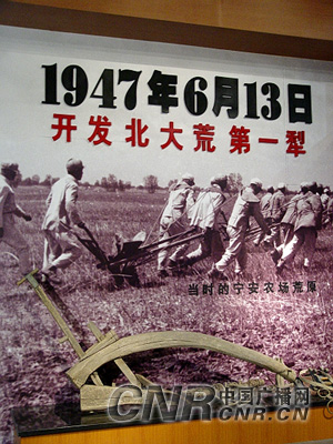 【书香·玉】情系北大荒，感恩粮仓黑土地（散文）