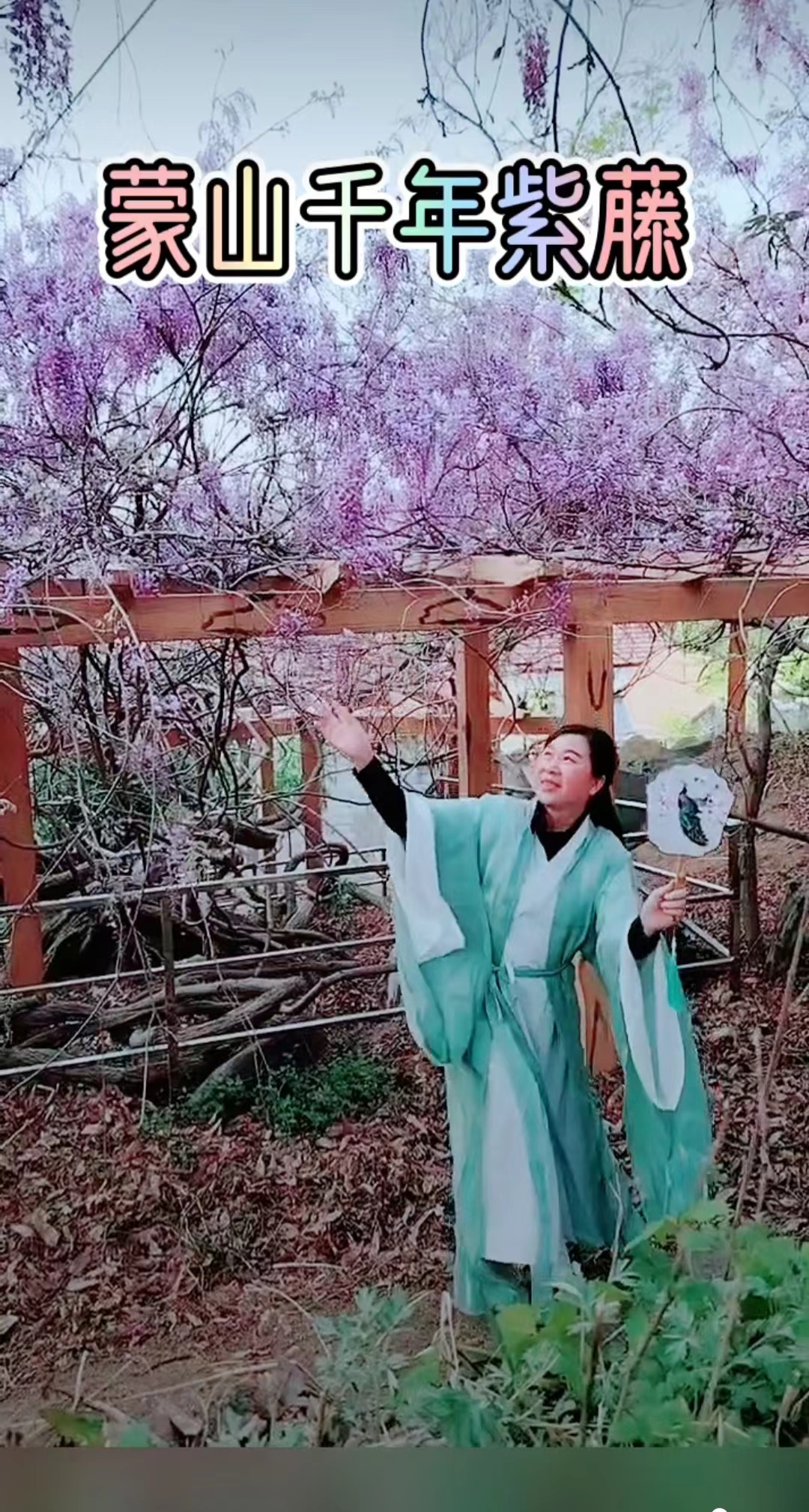 【天涯】赏紫藤之美（散文）
