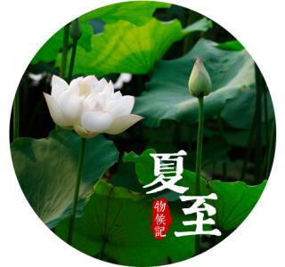 【唱词】夏至九九歌