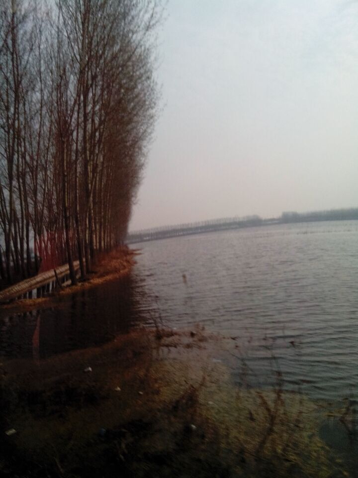 路边的小草绿盈盈的,生机盎然,马路两边的柳树也都绿了,长长的柳条在